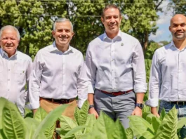 Exportaciones de tabaco incrementan más de RD$1,000 millones en 2025