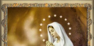 Virgen de Lourdes. Jornada mundial de oración por los enfermos. Mes de mi Padre Doctor Manuel Antonio García Sugrañes.11/2/26