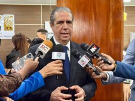 Francisco Javier: “El PRM se ha ganado el derecho a ser desalojado del Palacio en el 2028”