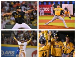 Águilas renuevan cuatro jugadores de su reserva nativa