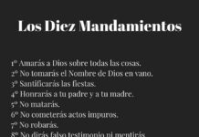 Domingo VI TO A 15/2/26