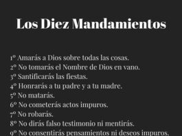 Domingo VI TO A 15/2/26