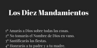 Domingo VI TO A 15/2/26