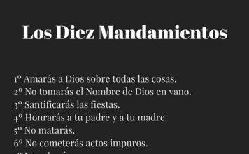 Domingo VI TO A 15/2/26