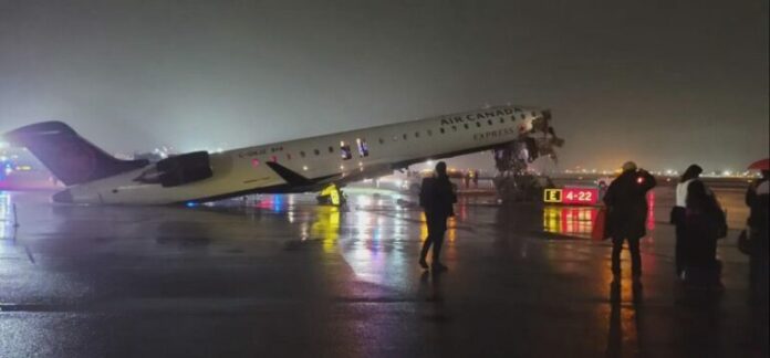 Captura-de-pantalla-2026-03-23-065225-768x358