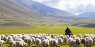 Martes IV Cuaresma 17/3/26