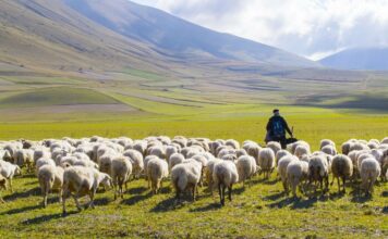 Martes IV Cuaresma 17/3/26