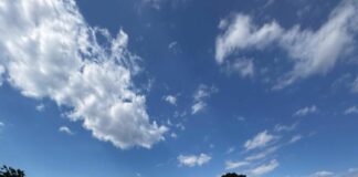 INEFI transforma canchas de Escuela Lorenzo Burgos