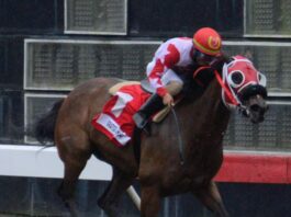 Grateful Lady se impone en el Clásico dedicado a la mujer