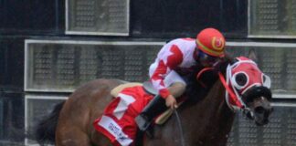 Grateful Lady se impone en el Clásico dedicado a la mujer