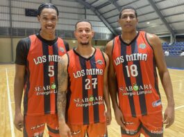 Los Mina aplasta a Loros Calientes y extiende su racha ganadora