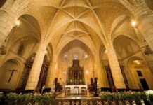 Solemnidad Nuestra Señora de la Encarnación Patronales Catedral Primada de América 25/3/26