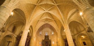 Solemnidad Nuestra Señora de la Encarnación Patronales Catedral Primada de América 25/3/26