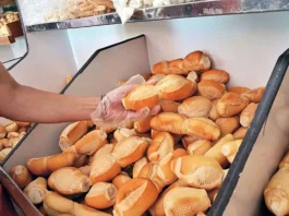Panaderos advierten alza en precios del pan y derivados