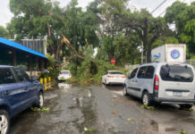 Se registra caída de granizo en Bayahíbe en medio de lluvias