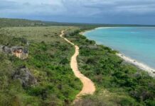 Frente Amplio celebra fallo del TSA que protege límites del Parque Nacional Jaragua