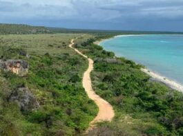 Frente Amplio celebra fallo del TSA que protege límites del Parque Nacional Jaragua