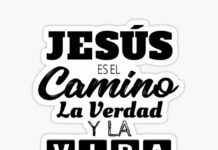 Domingo V Pascua 3/5/25