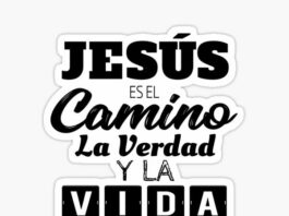 Domingo V Pascua 3/5/25