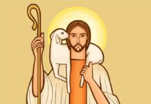 Domingo IV Pascua Buen Pastor 26/4/26