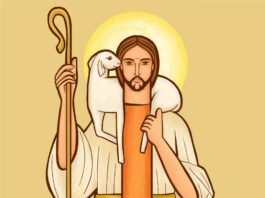 Domingo IV Pascua Buen Pastor 26/4/26