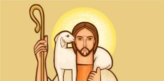 Domingo IV Pascua Buen Pastor 26/4/26