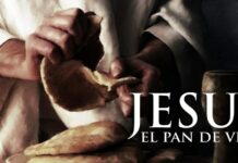 Viernes III Pascua 24/4/26