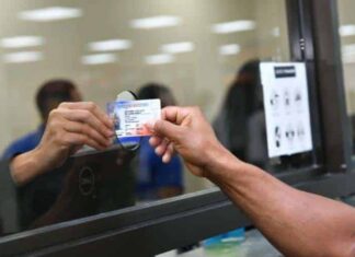 Presidente Luis Abinader amplía vigencia de las licencias de conducir para mayores de 65 años