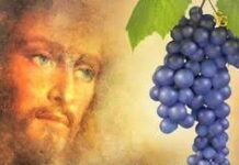 Miércoles V Pascua 6/5/26