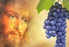 Miércoles V Pascua 6/5/26