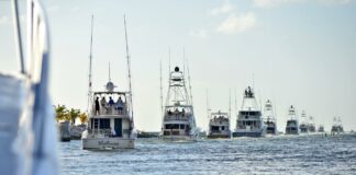 Cap Cana calienta motores para el White Marlin Tournament 2026