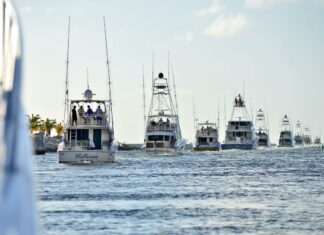 Cap Cana calienta motores para el White Marlin Tournament 2026