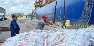 CUBA: Llegan primeras 15.000 toneladas de arroz de China