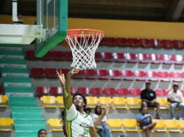 Soles aplastan a Leones y retoman ruta ganadora