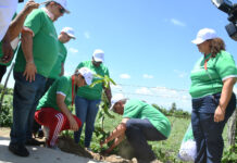 Siembra de árboles dará inicio a celebración del Día Olímpico