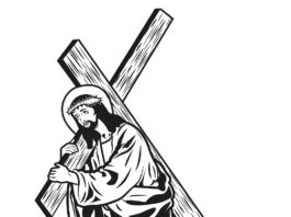 Domingo Misa del día 28/6/26