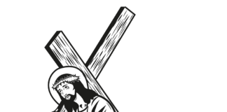 Domingo Misa del día 28/6/26