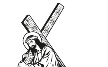 Domingo Misa del día 28/6/26