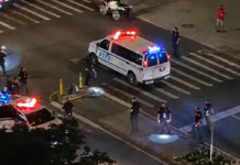 Tiroteo durante celebración del 4 de julio en Nueva York deja ocho heridos, entre ellos cuatro niños