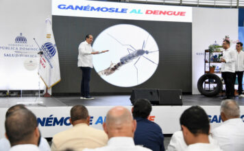 Salud Pública relanza campaña contra el dengue