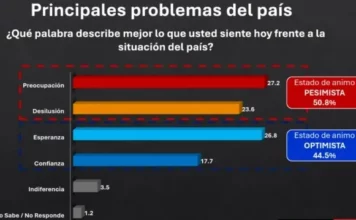 Alto costo vida es la principal preocupación de dominicanos