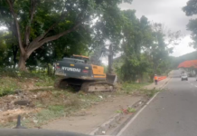 ¡Alerta ambiental! Denuncian devastación de capa vegetal en Los Próceres