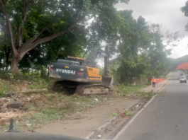 ¡Alerta ambiental! Denuncian devastación de capa vegetal en Los Próceres