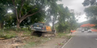 ¡Alerta ambiental! Denuncian devastación de capa vegetal en Los Próceres