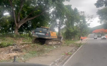 ¡Alerta ambiental! Denuncian devastación de capa vegetal en Los Próceres