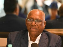 Punta Cana será sede del 17mo Torneo Internacional de Béisbol JDM 2026