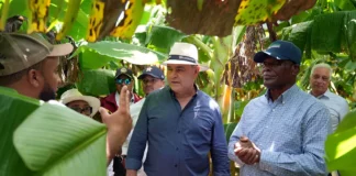 Agricultura adopta medidas para el desarrollo de Pedernales