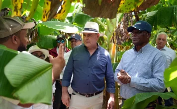 Agricultura adopta medidas para el desarrollo de Pedernales