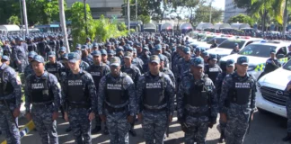 Senado aprueba en primera lectura reformas a Ley Orgánica de la Policía Nacional