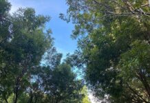 MIDEREC anuncia reapertura del Parque del Este y el Centro Olímpico